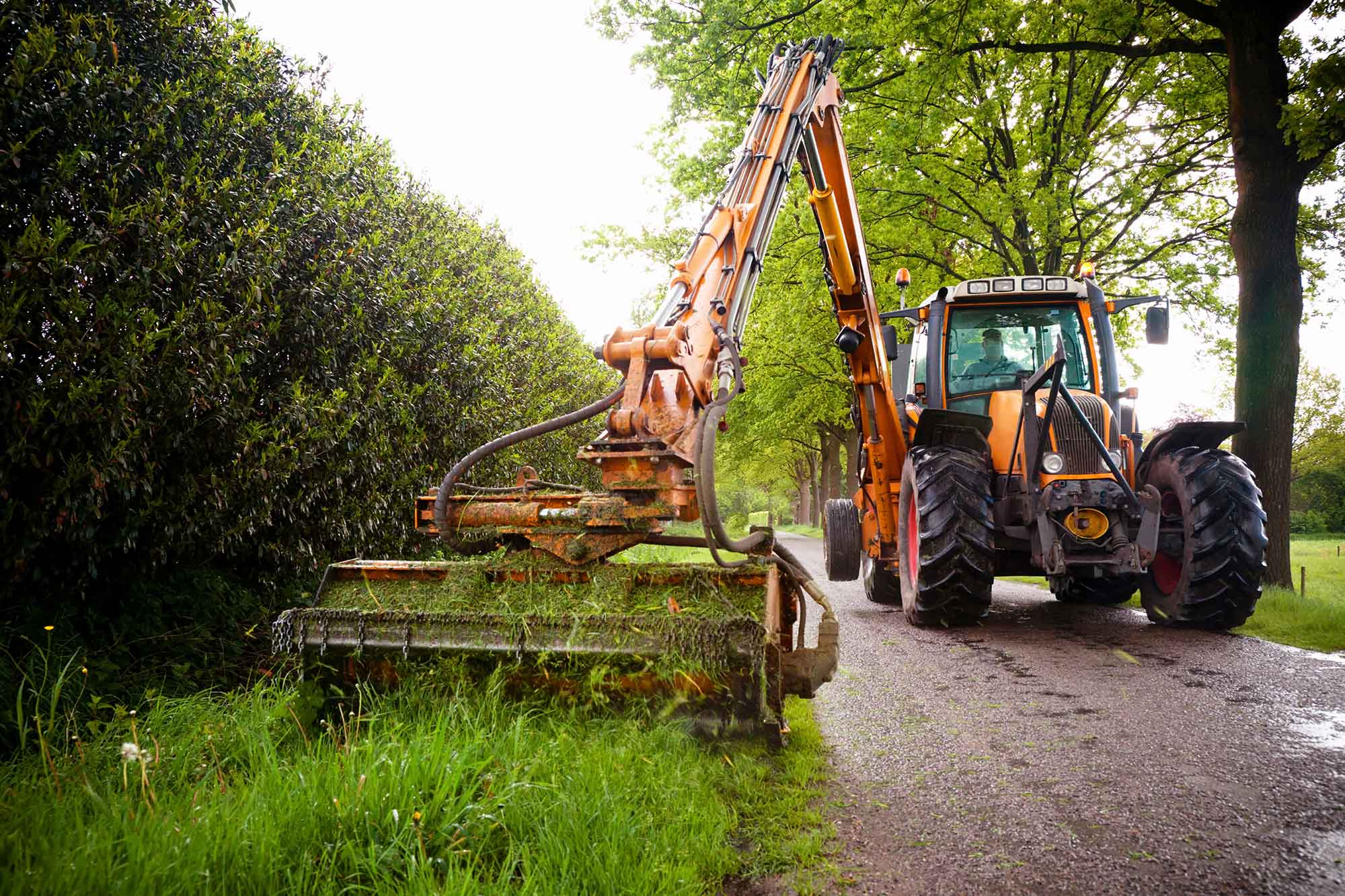 How to Choose the Best Brush Clearing Contractor in NC: Essential Checklist